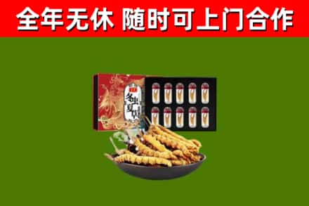 左贡县回收冬虫夏草价格